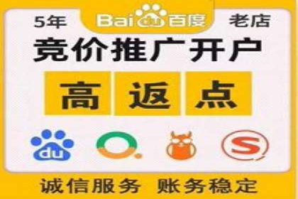 某公司sem竞价开户策略解析及效果评估